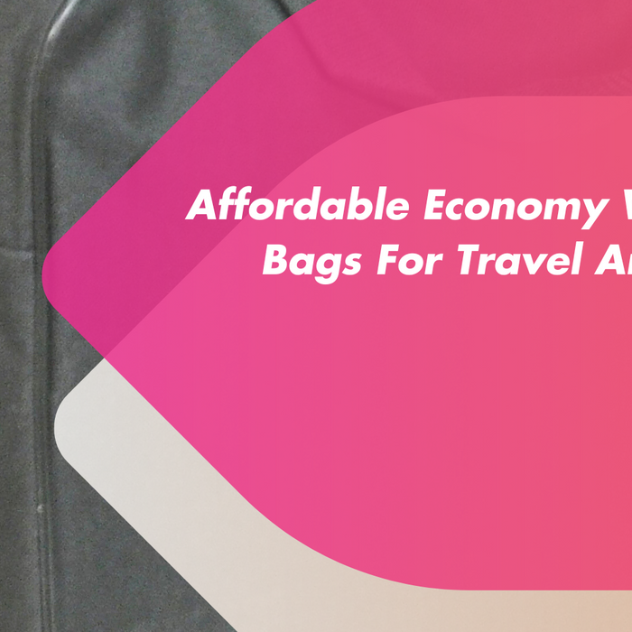 Affordable economy wheelchair bag for travel and storage from Mobility 2You