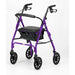 Days 100 Series Rollator - Special Offer from Days Medical - Mobility 2 You.
