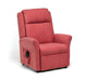 Memphis Standard Riser Recliner from Drive DeVilbiss Healthcare - Mobility 2 You.