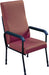 Longfield Lounge Chair Brown from Mobility 2 You - Mobility 2 You.