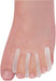 Gel Toe Separators -Lg -Pk 15 from Mobility 2 You - Mobility 2 You.