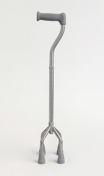 Small Base Quad Cane from Mobility 2 You - Mobility 2 You.