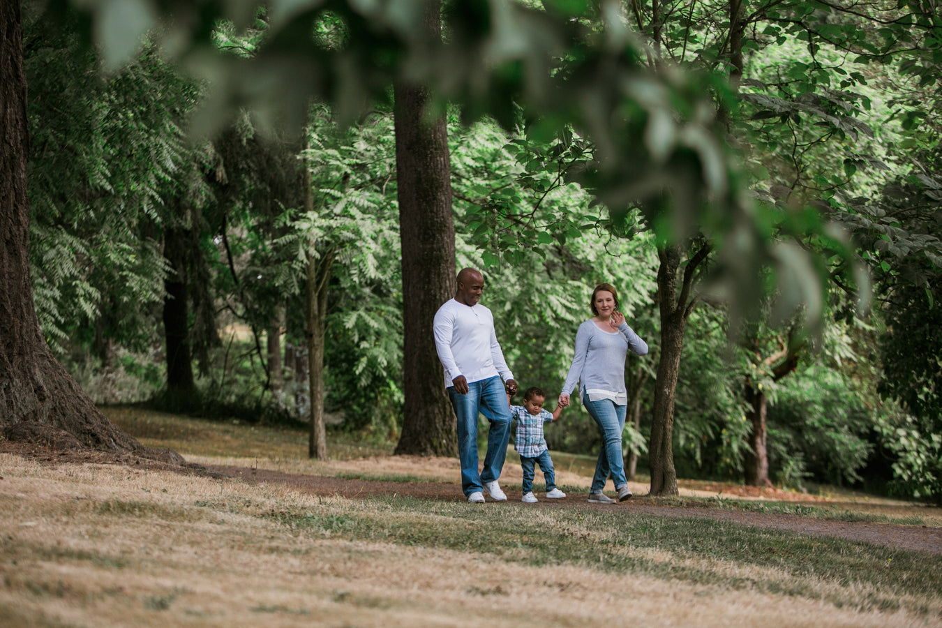 A family walking through a forest.