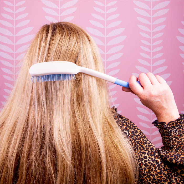 Long-Handled Brush and Comb Set from Mobility 2 You - Mobility 2 You.