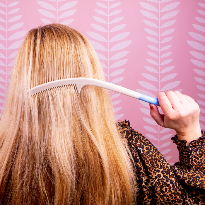 Long-Handled Brush and Comb Set from Mobility 2 You - Mobility 2 You.