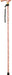 Deluxe Folding Walking Cane Printemps from Mobility 2 You - Mobility 2 You.