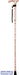 Deluxe Folding Walking Cane Animalia from Mobility 2 You - Mobility 2 You.