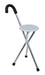 Folding Seat Cane from Mobility 2 You - Mobility 2 You.